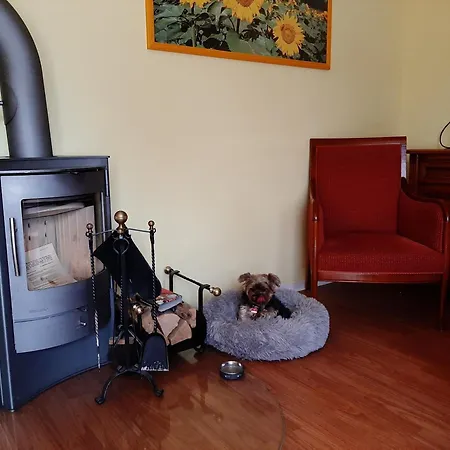 Residenz Lausitz - Apartments Fuer Urlaub Mit Hund Graal-Mueritz Buitenkant foto