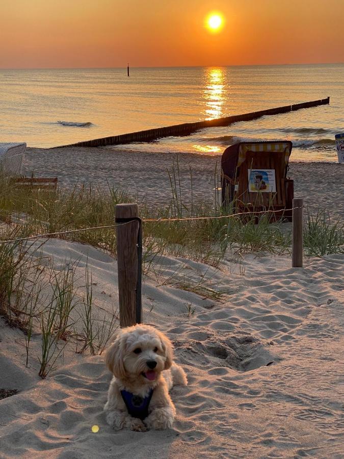 Apartment Residenz Lausitz - Fuer Urlaub Mit Hund