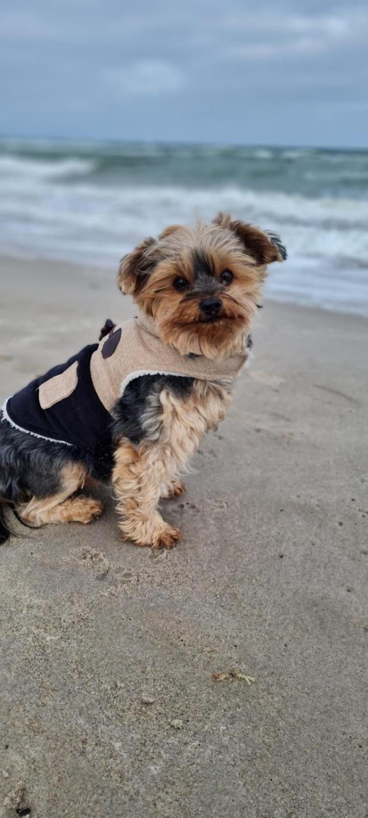 Apartment Residenz Lausitz - Fuer Urlaub Mit Hund Graal-Mueritz