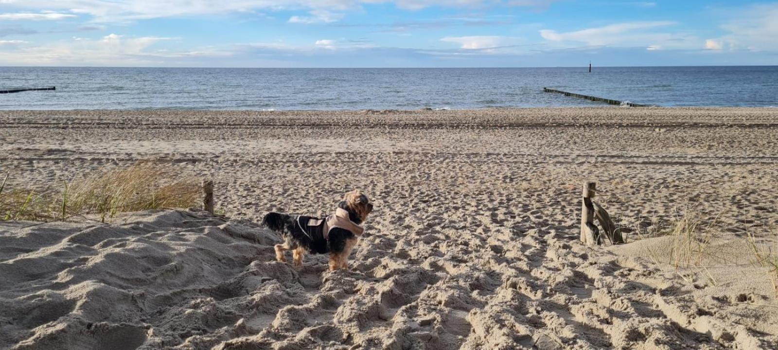 Residenz Lausitz - Fuer Urlaub Mit Hund *