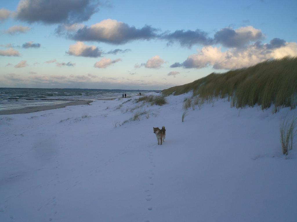 Residenz Lausitz - Fuer Urlaub Mit Hund Apartment