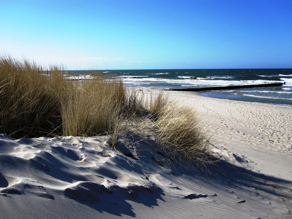 Apartment Residenz Lausitz - Fuer Urlaub Mit Hund Graal-Mueritz