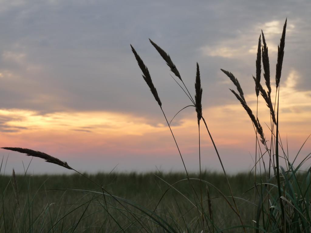 Residenz Lausitz - Fuer Urlaub Mit Hund * Graal-Mueritz
