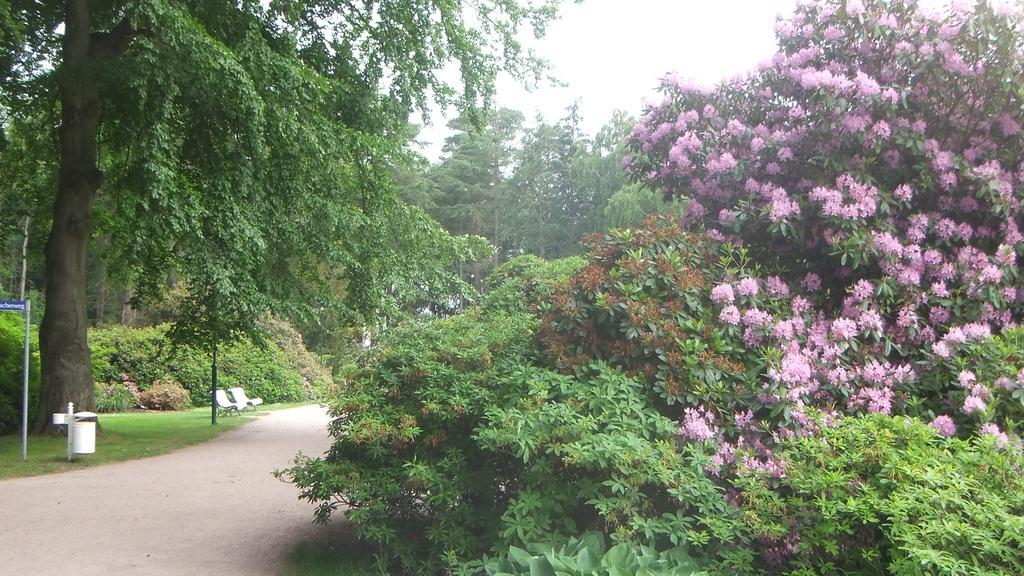 Apartment Residenz Lausitz - Fuer Urlaub Mit Hund
